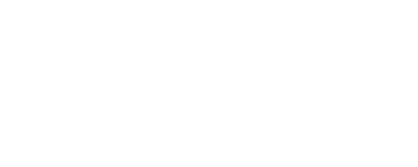 Pak Plus Koltuk Yıkama Düzce